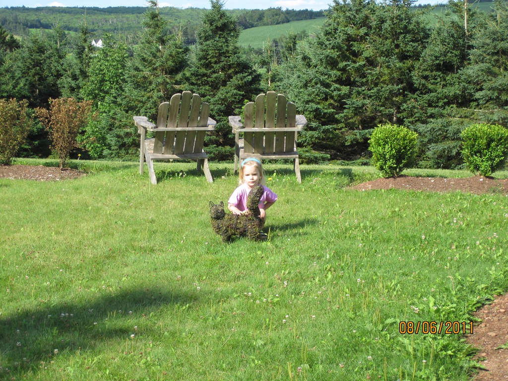 [IMG_6118%255B4%255D.jpg]