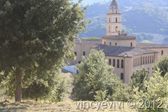 IMG_7345 IMG_7345