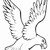 aguia2.gif.jpg