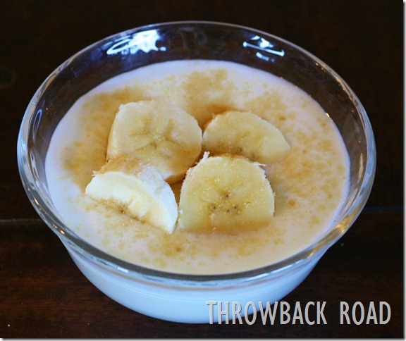 yogurt self port 009 yogurt self port 009