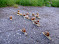 DSCF5879.JPG