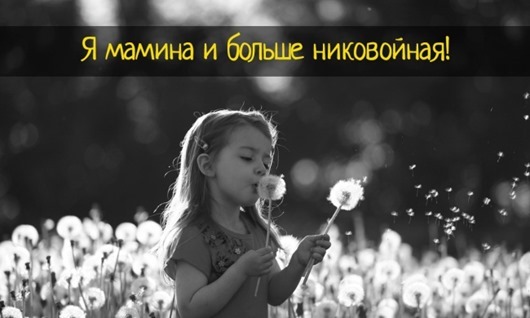 preview-650x390-650-1409228673 preview-650x390-650-1409228673