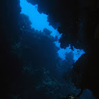 IMG_9594.JPG