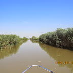 IMG_5746.JPG