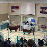 2011-01-09_16-39-18_829.jpg