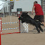 DSC_9986.JPG