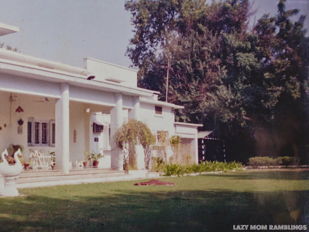 [20150120-20150120-IMG_32113.jpg]