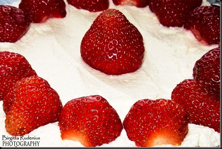 food_20120616_jordgubbar