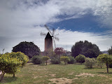 IMG_6722.JPG