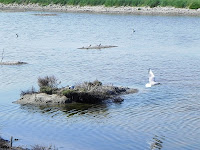 Cervia Photo