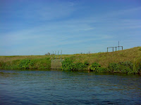 DSC06483.JPG Photo