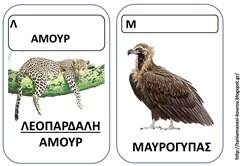 ΖΩ5 ΖΩ5