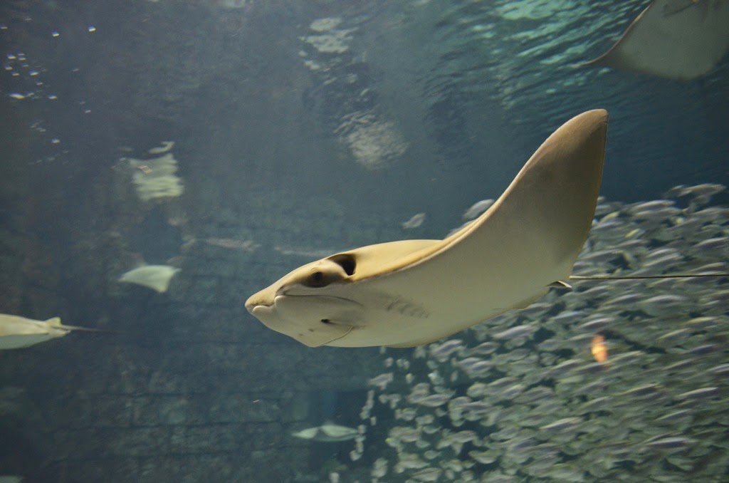 [DSC_8490%255B3%255D.jpg]