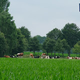 IMGP6472.JPG
