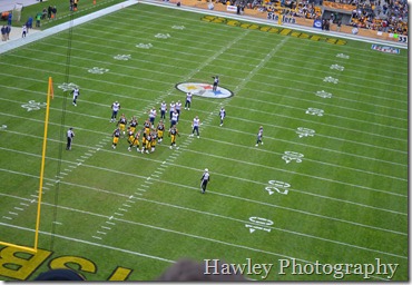 DSC_0071 DSC_0071