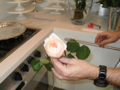 Here is a Juliet rose -- it has a form of a garden rose and has very dense layers inside.