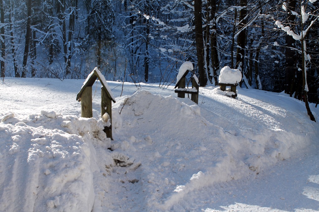 [IMG_9446%255B9%255D.jpg]