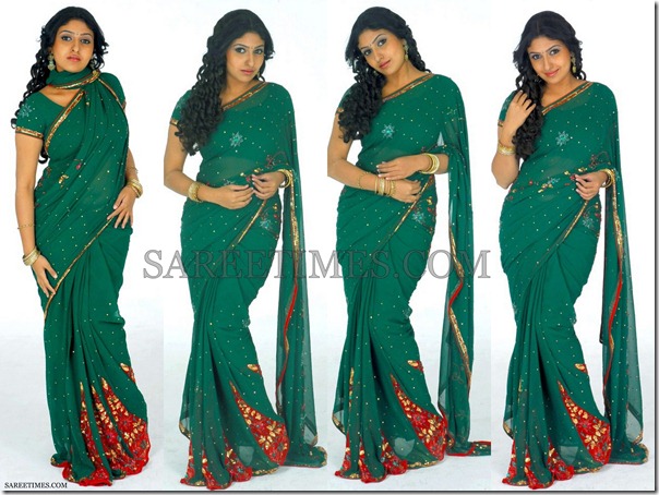 Monica_Green_Embroidery_Saree