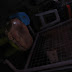 R0032383.JPG
