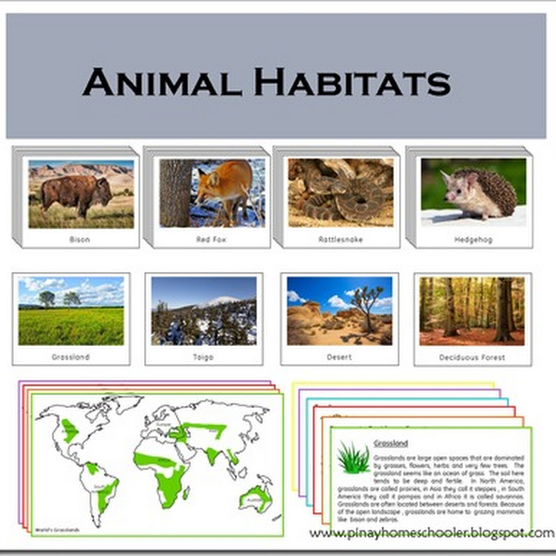 Animal Habitats Cards | The Pinay Homeschooler