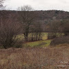 dsc05350.jpg