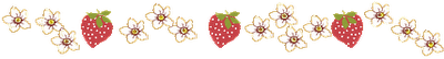 [berrydividerx%255B11%255D.png]