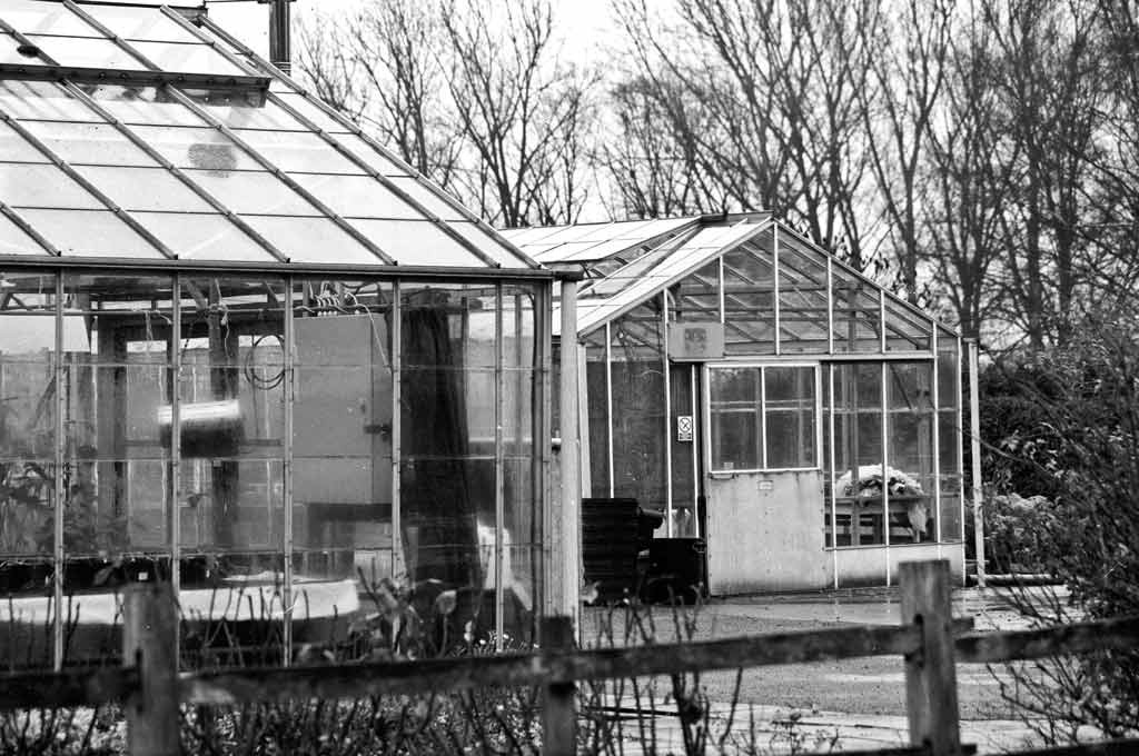 [Student-Greenhouses-3%255B4%255D.jpg]