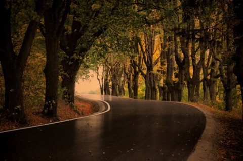 Glossy-Autumn-Road