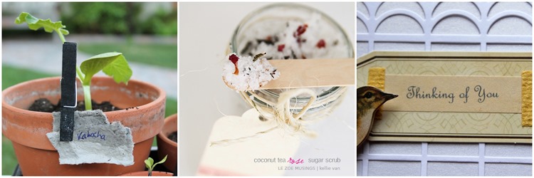 [Blog%2520Scrub%2520Roundup%255B2%255D.jpg]