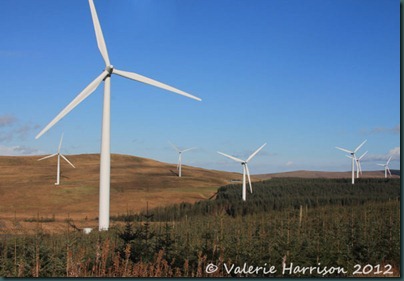 36-turbines-in-the-trees