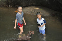 pinoyecofarm november_0074.JPG
