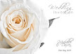Folded Invitation