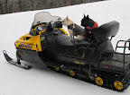 Hold on tight, Franny!  Here we go!