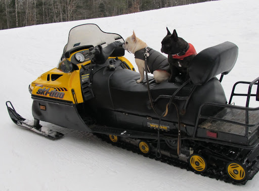 Hold on tight, Franny!  Here we go!