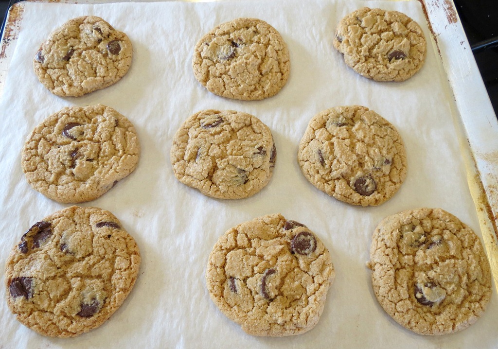 [Whole%2520Wheat%2520Chocolate%2520Chip%2520Cookies%25202%255B4%255D.jpg]