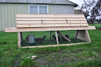  Chicken Gallery