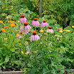 strathcona gardens-12.jpg
