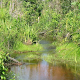 Phnom Kulen