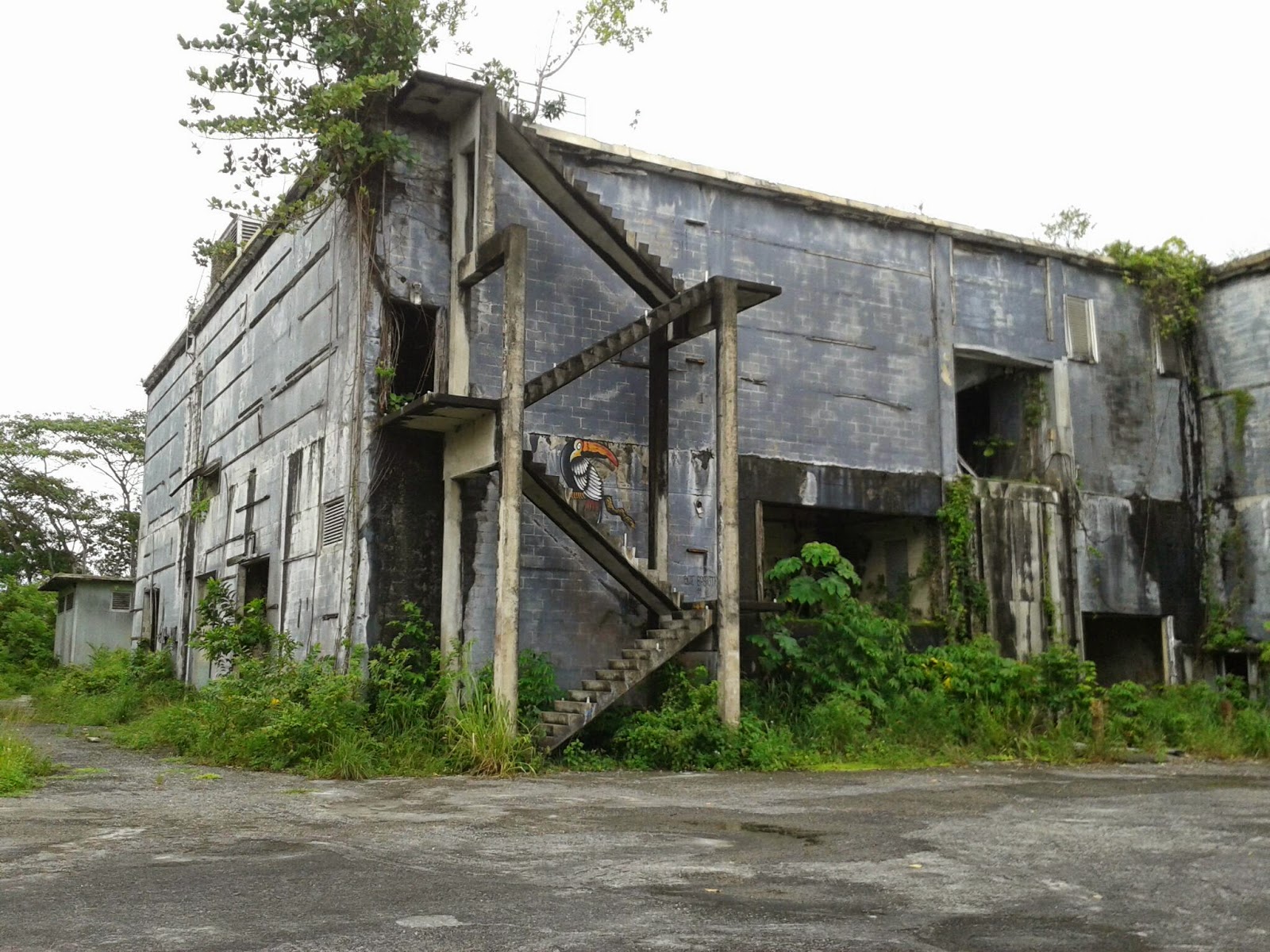 Let's explore Trinidad Bamboo Cathedral and the walk to the Tracking