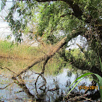 IMG_7670.JPG