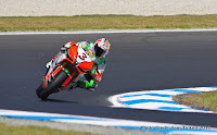 The United Colours of Max Biaggi The United Colours of Max Biaggi
