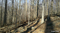 2011-02-27_15-38-49_865.jpg