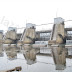 DSLR Filtre: polarizare & ND4/ND8 D60 Polarizare Diverse%252520%25252818%252529 DSLR Filtre: polarizare & ND4/ND8
