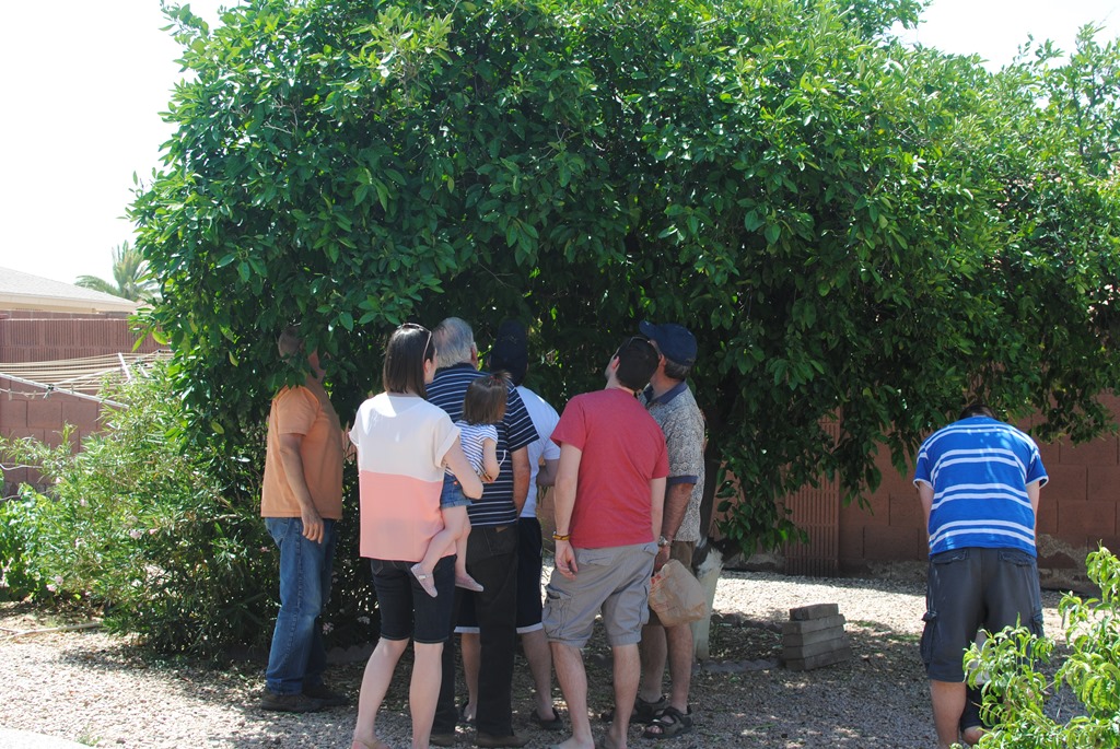[DSC_0049%255B3%255D.jpg]