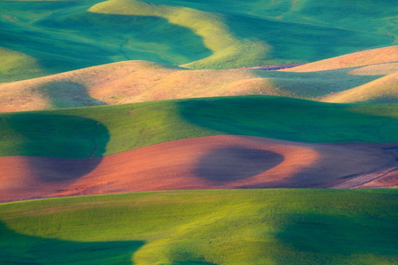 palouse-8 palouse-8