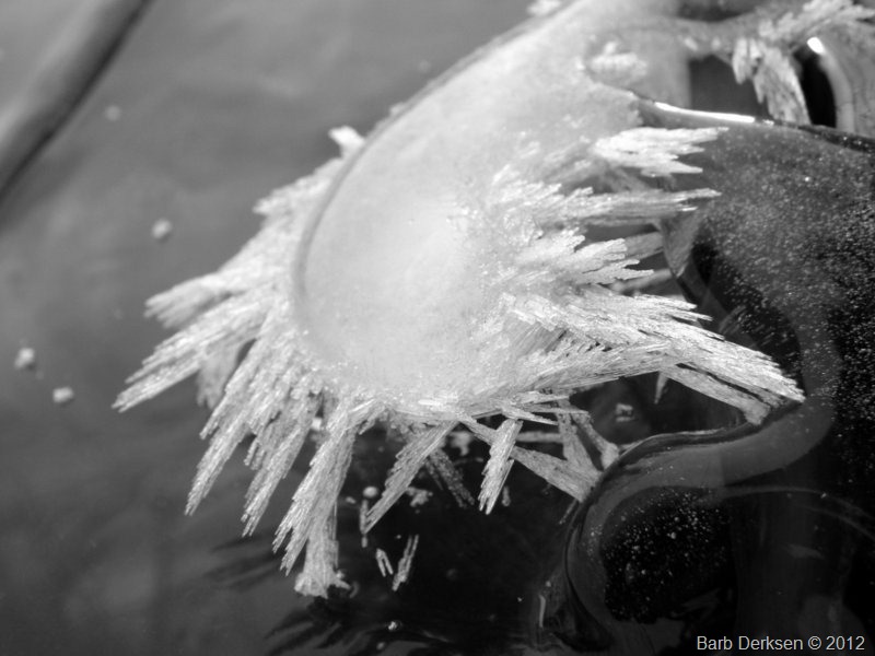 [Barb%2520Derksen%2520Ice%25202012%2520%2520%252837%2529%255B6%255D.jpg]