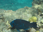 IMG_4549.jpg