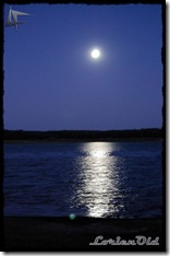 Luna_Llena (8)