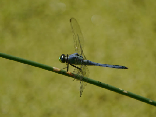 P1080064