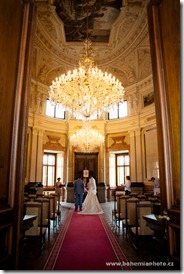 IMG_6905 IMG_6905
